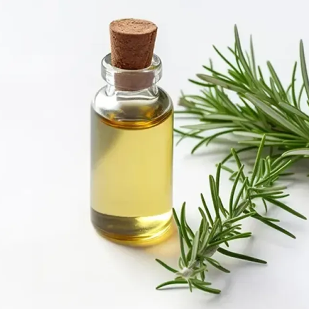 Europa Vital Reines Rosmarinöl (Rosmarinus officinalis) 10ml