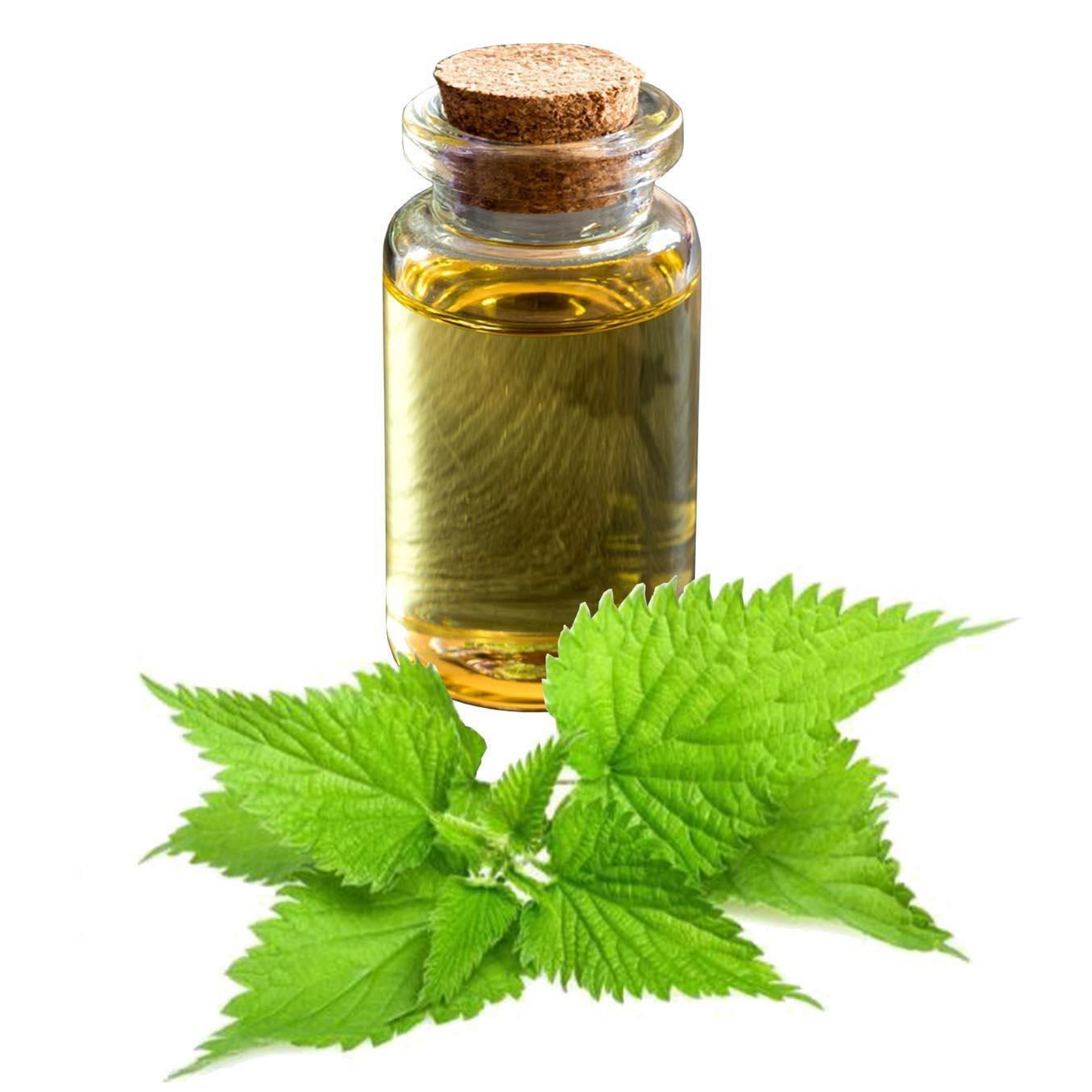 Europe Vital Kaltgepresstes Brennnesselöl 20ml