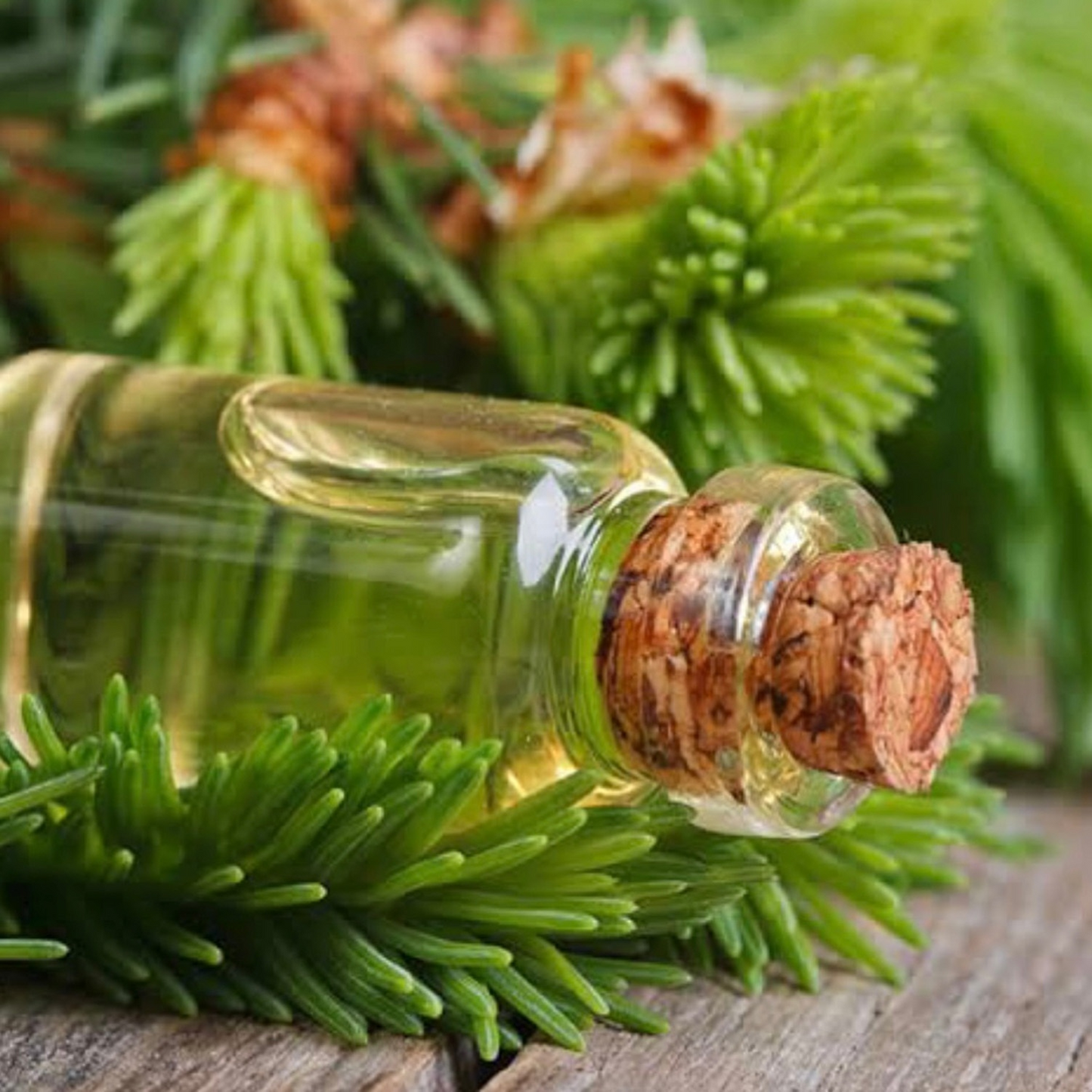 Europa Vital Reines Akgünlüköl 10ml