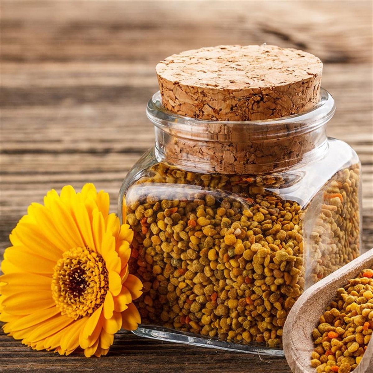 Bienenpollen 225g