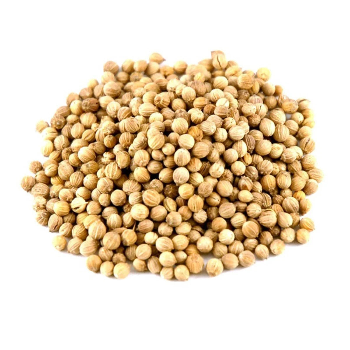 Koriander 100g