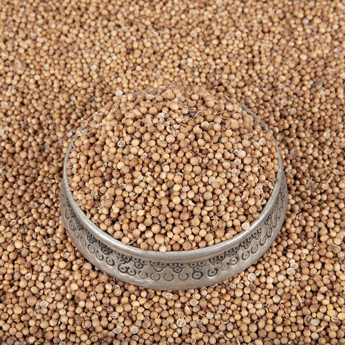 Koriander 100g