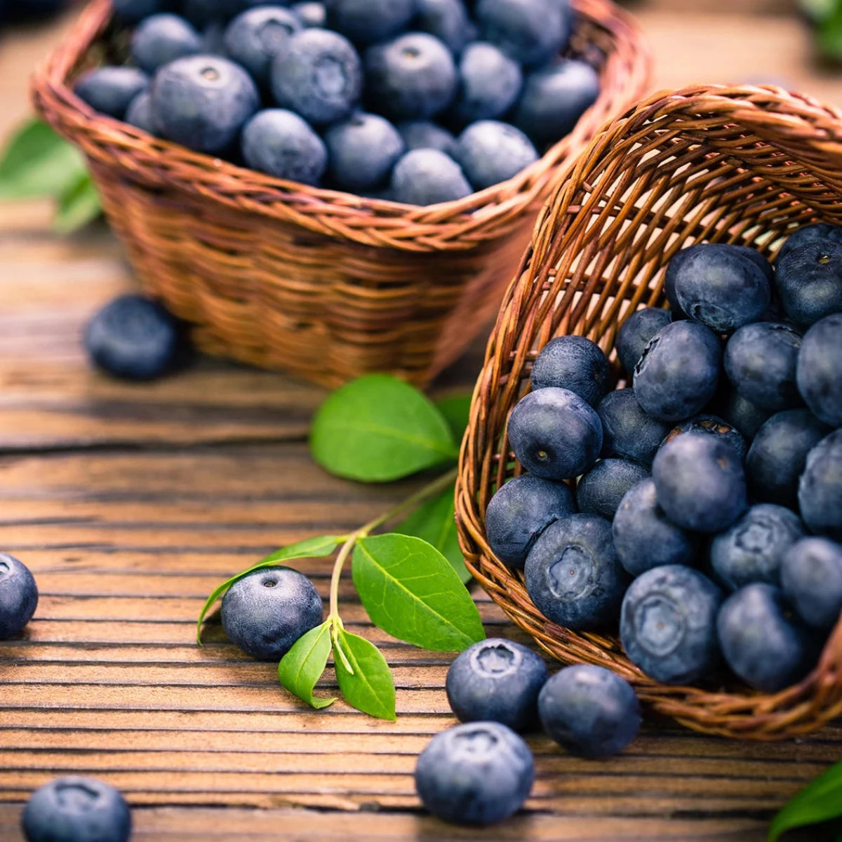 Spezialproduktion Blaubeerextrakt (ohne Zuckerzusatz) 350 g