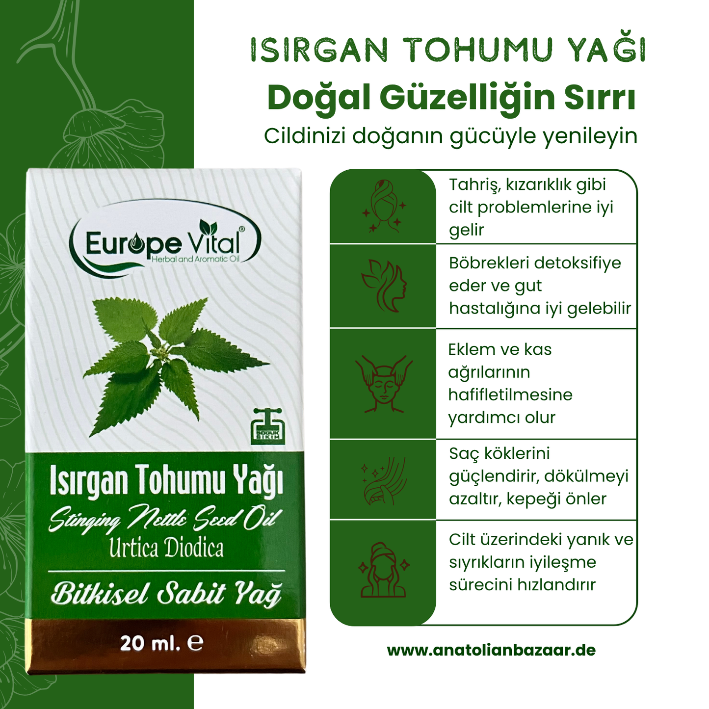 Europe Vital Kaltgepresstes Brennnesselöl 20ml