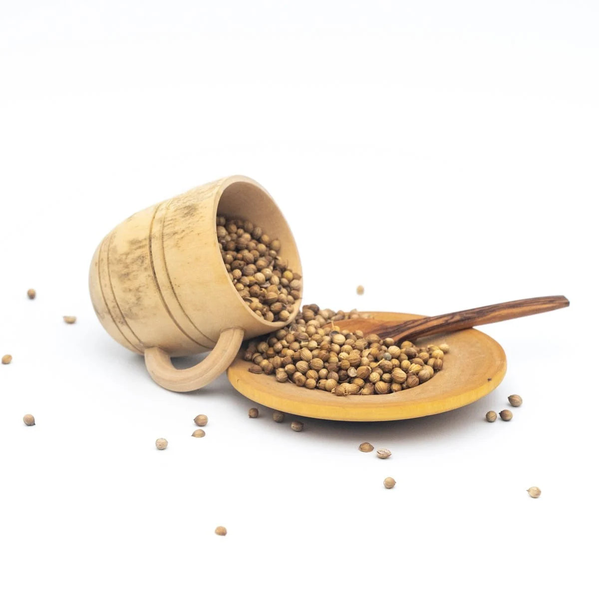Koriander 100g