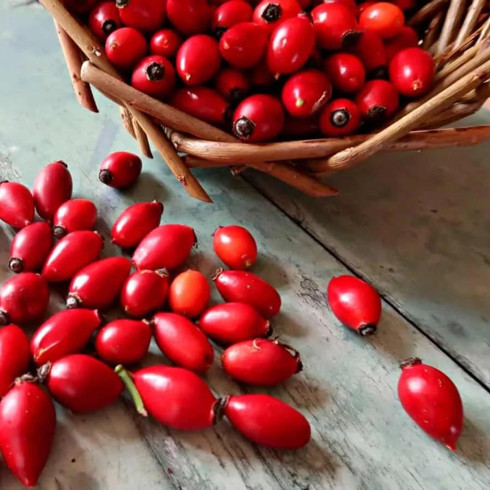 Katkısız Kuşburnu Reçeli 450g
