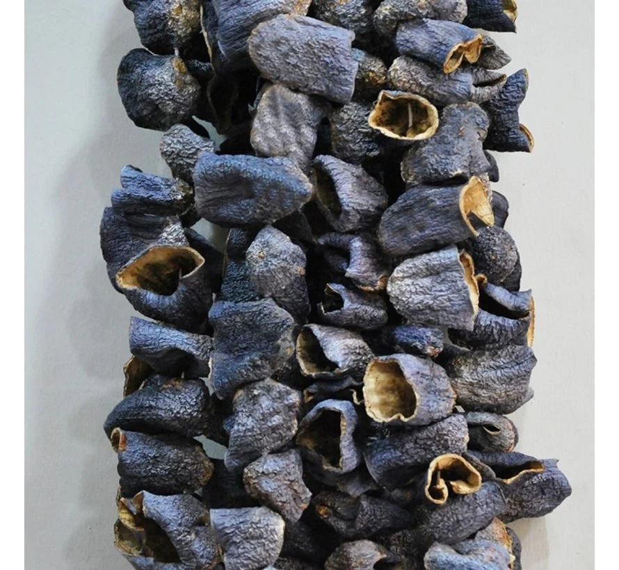 Dolmalık Patlıcan Kurusu 1 Dize (45-50 Adet)