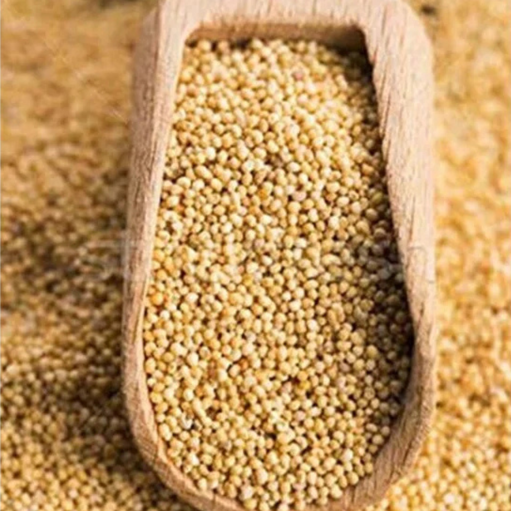 Sarı Haşhaş 200g