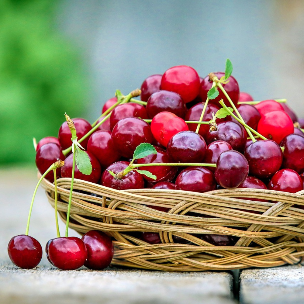 Katkısız Vişne Reçeli 450g